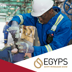 EGYPS Immagine in miniatura