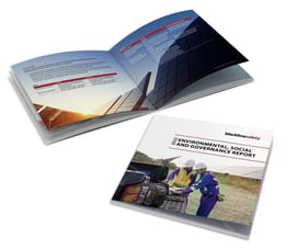 Immagine inserita ESG