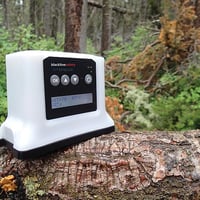 Ponte G7 nella natura selvaggia