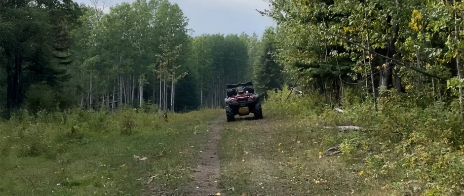 Banner della storia di Leo