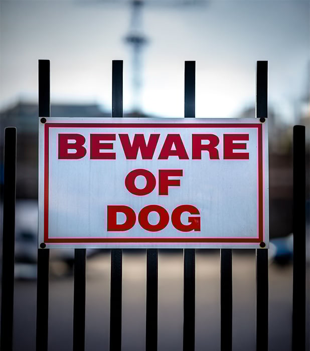 Sasha aveva bisogno di aiuto mentre lavorava da sola ed era minacciata da un cliente e dal suo grosso cane. Leggi la sua storia.