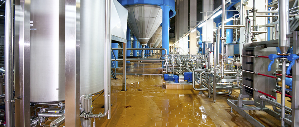 Immagini del blog - Cibo e bevande3