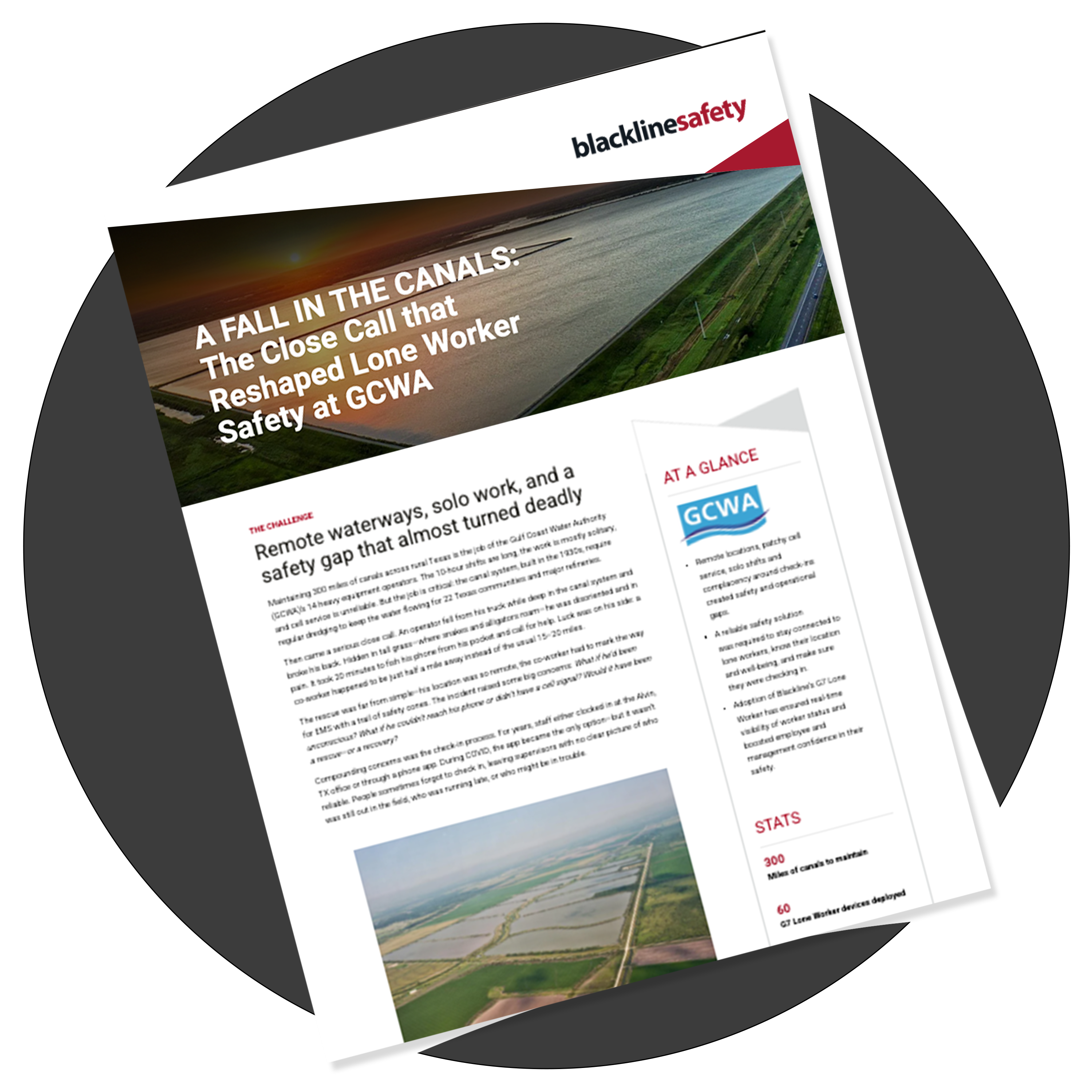 miniatura del white paper