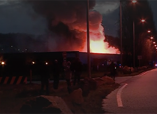 miniatura del white paper